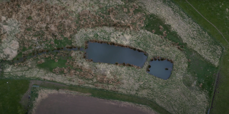 New research highlights how sediment ponds help farmers protect their land and boost biodiversity