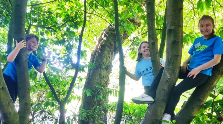 Barrow Badgers Seeks Volunteers to Restart Children’s Wildlife Club