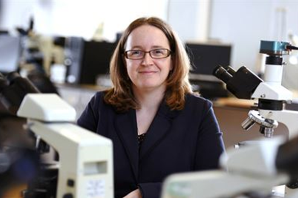 Teesside University Leads Groundbreaking Research into the Roman Empire’s Leather Economy