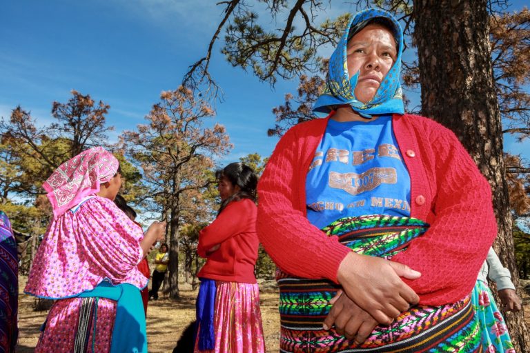 Why community voices could make or break the world’s forest restoration plans