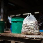 ‘The Plastic Divide’ – how carrier bag bans impact the poorest communities