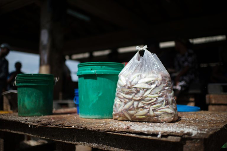 ‘The Plastic Divide’ – how carrier bag bans impact the poorest communities